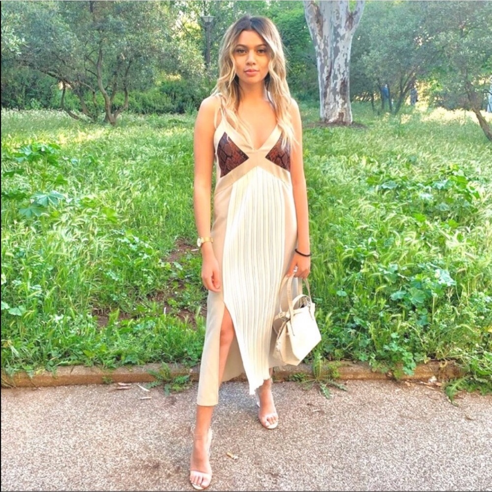 🎉HP🎉NWT Bloggers Favorite Zara Slip Dress
